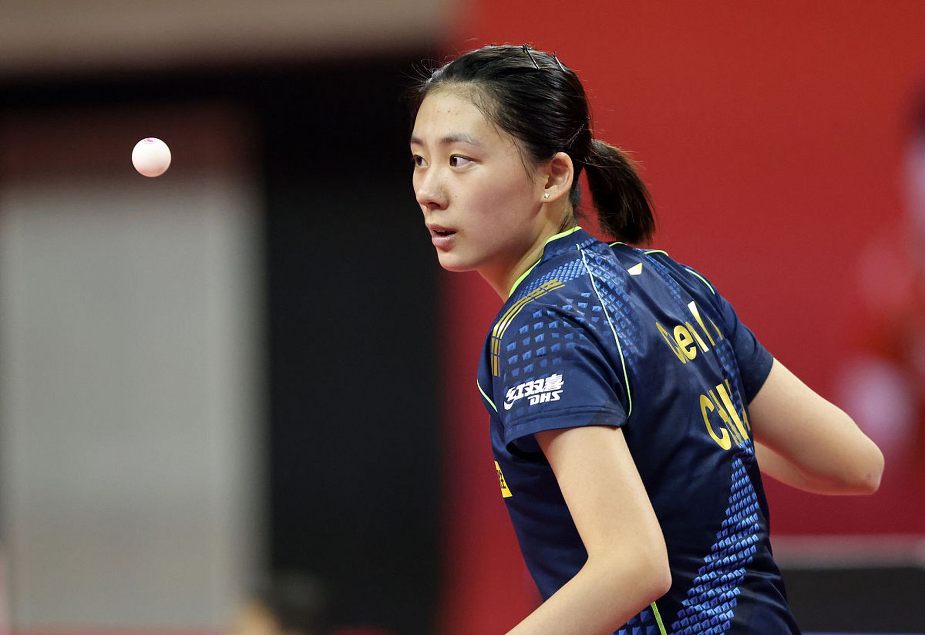 化的交流与 化的交流与