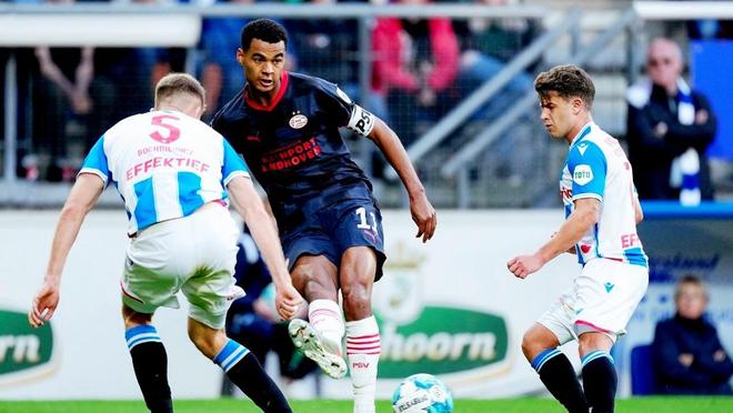 他们则代表 他们则代表